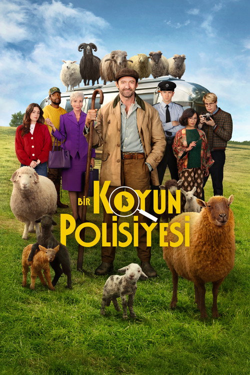 Dedektif Koyunlar